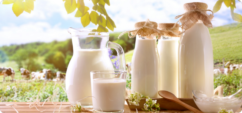 Süt ve Süt <br> Ürününlerinin <br> Faydaları